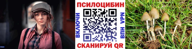 даркнет сайт  Апрелевка  Псилоцибиновые грибы мухоморы 