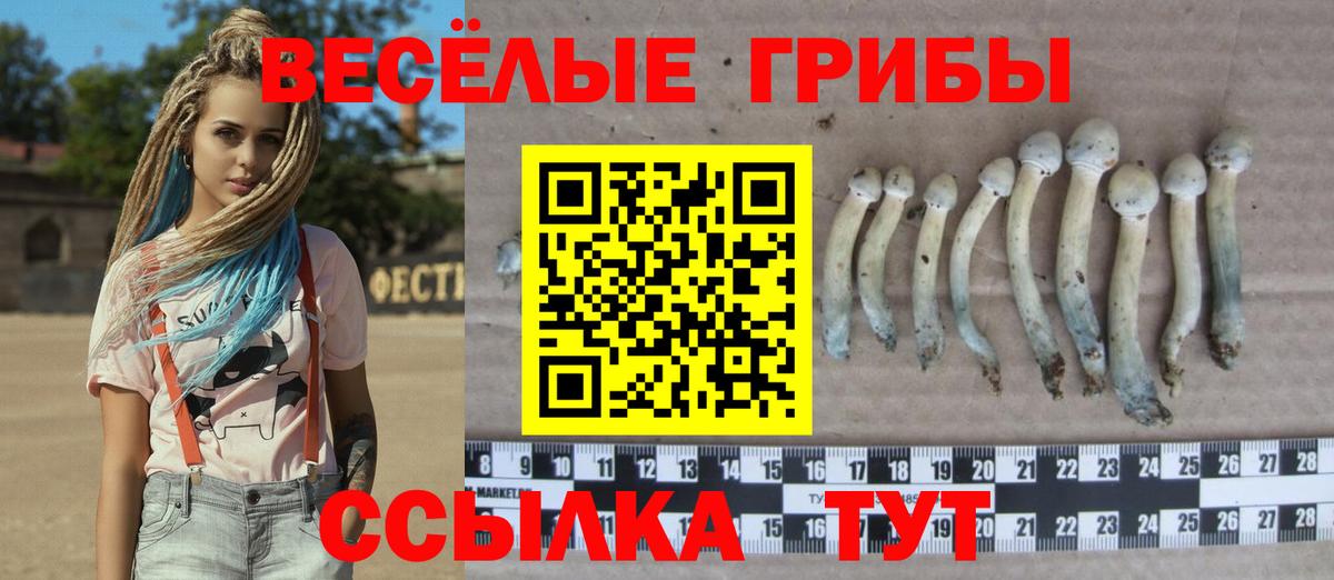 Апрелевка  где можно купить наркотик  Вход с VPN  Галлюциногенные грибы MAGIC MUSHROOMS 