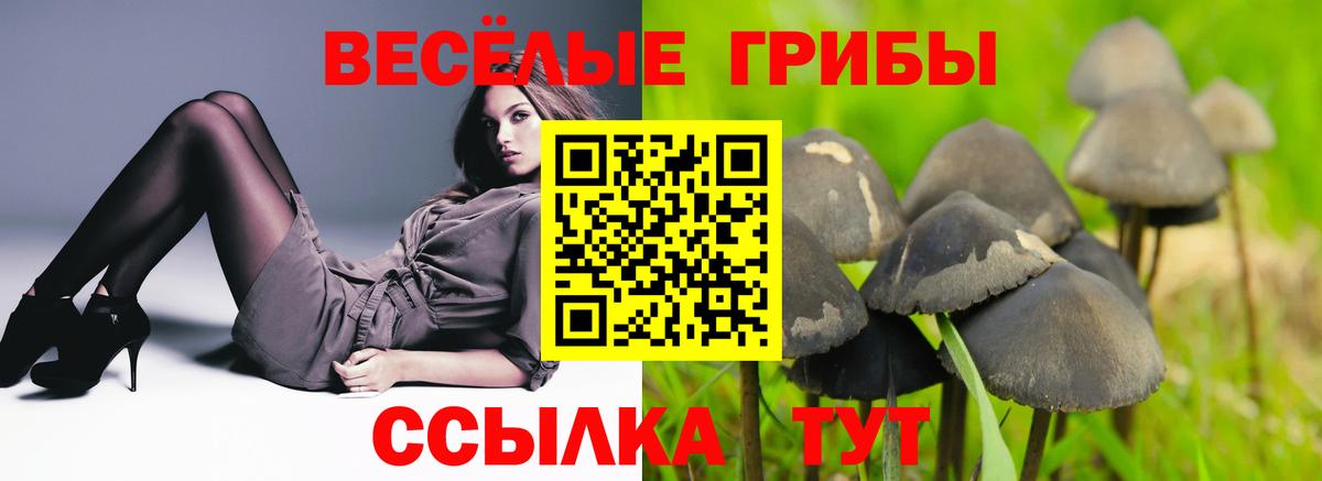 Псилоцибиновые грибы прущие грибы Апрелевка